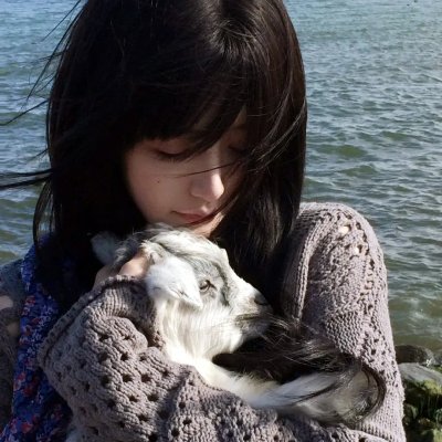 苦茶香