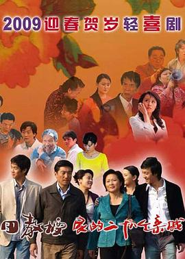 飞星寻龙粤语 封面图